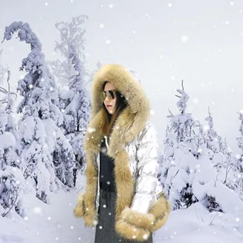 Nemokamas Pristatymas Naujos Žiemos Moterys Didelis Apykaklės Sidabro Puffer Jacket/ Populiarus Gamtos Meškėnas Kailių Žemyn Paltai